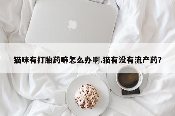 流产药联系微信资讯 第61页
