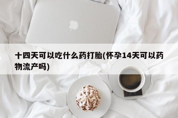 流产药联系微信十四天可以吃什么药打胎(怀孕14天可以药物流产吗)