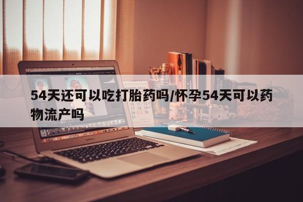 流产药联系微信54天还可以吃打胎药吗/怀孕54天可以药物流产吗